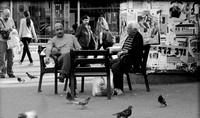 DSCF0123-2