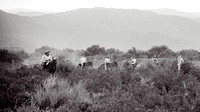 DSCF2854